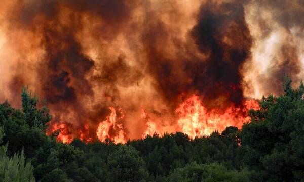 Πυρκαγιές στην Πελοπόννησο – Η γνώμη σου!
