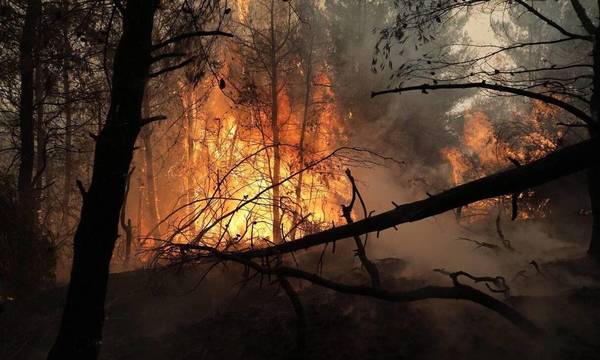 Λαμπρόπουλος: Παραμένει πάρα πολύ δύσκολη η κατάσταση με την φωτιά στην Γορτυνία