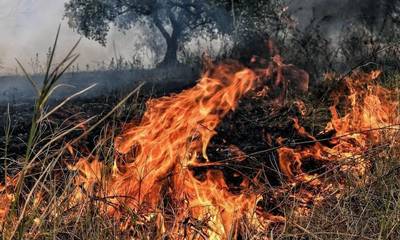 Κίνδυνος πυρκαγιάς: Παραμένει πολύ υψηλός σε Λακωνία και Κύθηρα