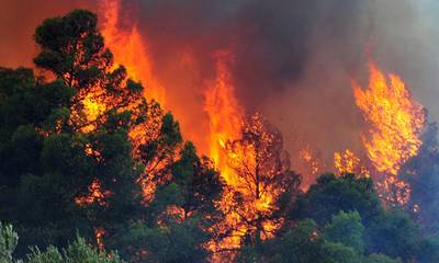 Δασικές πυρκαγιές στο ελληνικό μεσογειακό τοπίο: ευλογία και κατάρα!