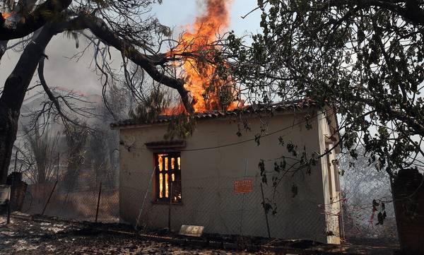 Πυρκαγιές: Ξεκίνησαν οι αιτήσεις στην πλατφόρμα arogi.gov.gr για τους πυρόπληκτους