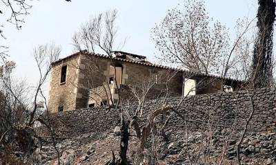 ΣΥΡΙΖΑ Λακωνίας: «Τις πταίει», για την καταστροφική πυρκαγιά στην Ανατολική Μάνη