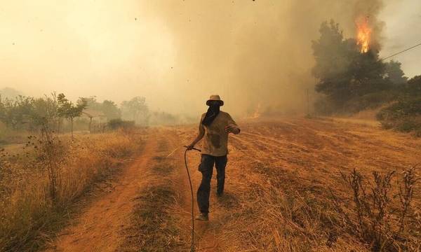 «Με ποιόν τρόπο θα καλυφθούν οι καταστροφές από τις πυρκαγιές στους αγρότες;»