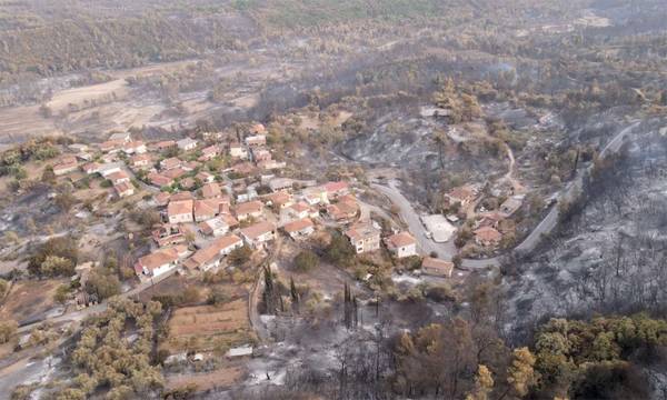 Ξεκίνησε η υποβολή δηλώσεων ζημιάς φυτικού κεφαλαίου από τις πυρκαγιές στην Γορτυνία