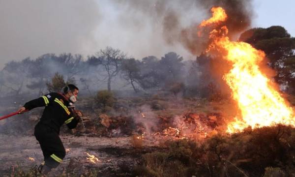 Ηλεία: Φωτιά σε εξέλιξη στο Μαρκόπουλο Τραγανού