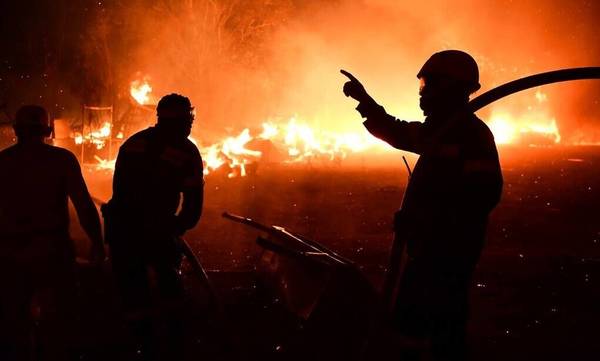Ηλεία: Υπό μερικό έλεγχο η πυρκαγιά στο Μαρκόπουλο Τραγανού