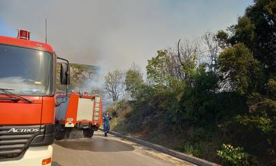 Οριοθετημένη και χωρίς ενεργό μέτωπο η φωτιά στα Καλύβια Μεγαλόπολης