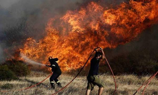 Πηνεία: Φωτιά σε δασική έκταση στα Άγναντα - Δεν απειλούνται κατοικημένες περιοχές