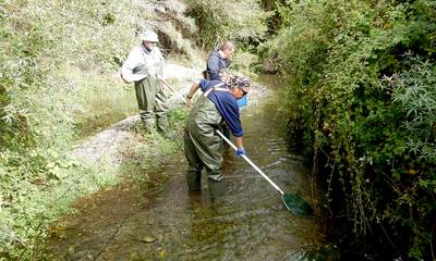Ποταμός Ευρώτας: Υδρολογικές και ιχθυολογικές δράσεις προς χάριν της προστατευόμενης ιχθυοπανίδας!