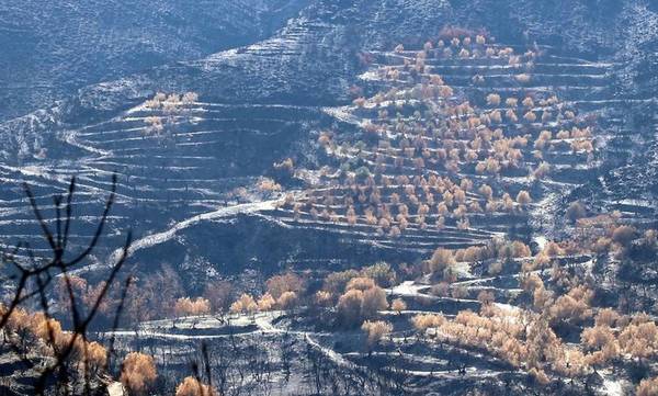 Δήμος Ανατολικής Μάνης: 3.350.000 € για την αντιμετώπιση των ζημιών από τις πυρκαγιές του Αυγούστου