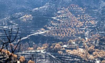 Δήμος Ανατολικής Μάνης: 3.350.000 € για την αντιμετώπιση των ζημιών από τις πυρκαγιές του Αυγούστου