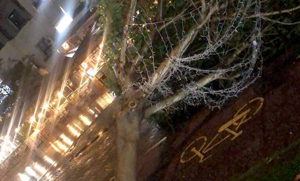 Ο δυνατός άνεμος ξερίζωσε δέντρο στην κεντρική πλατεία Καλαμάτας
