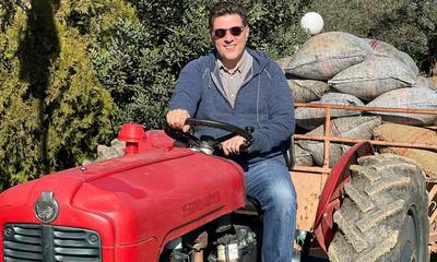Με νέα σοδειά ελιάς υποδέχεται το 2022 ο Μιλτιάδης Βαρβιτσιώτης στη Σπάρτη