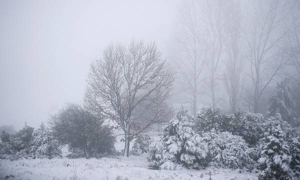Κακοκαιρία «Ελπίς»: Πώς θα εξελιχθεί τις επόμενες ώρες  - Πού αναμένονται χιονοπτώσεις