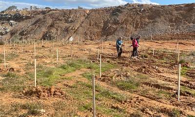 Σπάρτη: Εθελοντική φύτευση 700 δέντρων στον υπό αποκατάσταση ΧΑΔΑ Αφυσσού (photos)