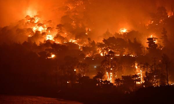ΟΗΕ: Αύξηση 30% των δασικών πυρκαγιών μέχρι το τέλος του 2050 εξαιτίας της κλιματικής αλλαγής