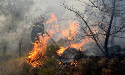 Σύλληψη για φωτιά από αμέλεια στον δήμο Ανδρίτσαινας – Κρεστένων