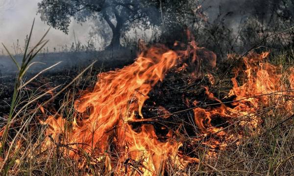 Συλλήψεις για πυρκαγιές σε Ηλεία και Λακωνία