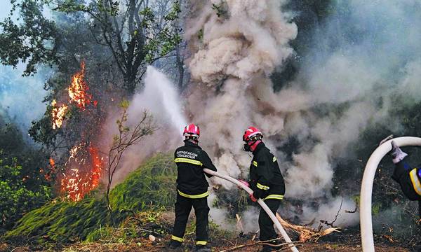 Συλλήψεις και επιβολή προστίμου για φωτιές σε Λακωνία και Μεσσηνία