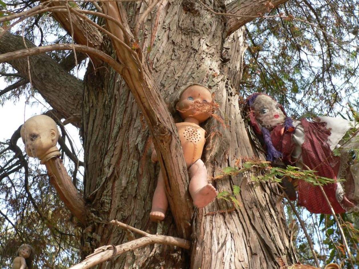 https://cdn.np-media.gr/media/news/2022/04/03/77675/photos/snapshot/dolls-on-island-of-the-dolls-trees.jpg
