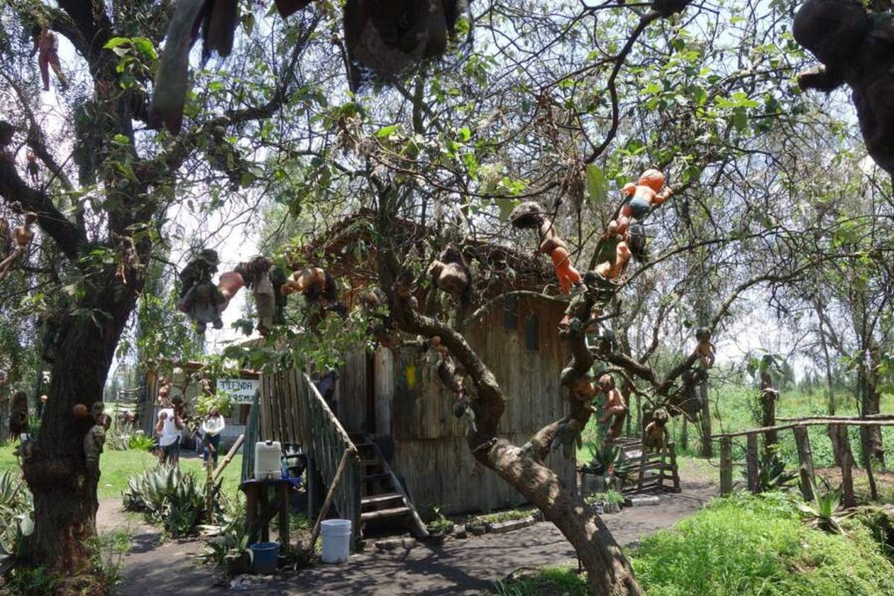 https://cdn.np-media.gr/media/news/2022/04/03/77675/photos/snapshot/tree-on-island-of-the-dolls.jpeg