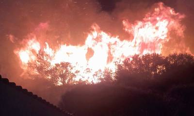 Ηλεία: Ανεξέλεγκτη η φωτιά που καίει δασική έκταση στην περιοχή Λιβαδάκι