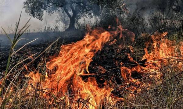 Συλλήψεις για πυρκαγιές σε Λακωνία, Κορινθία και Αργολίδα