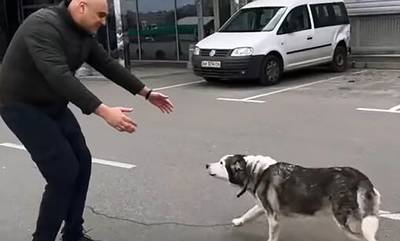 Ρίγη συγκίνησης με σκύλο στην Μπούτσα – Ξανασυναντά τον ιδιοκτήτη του και «ξεσπά» σε χαρές (video)