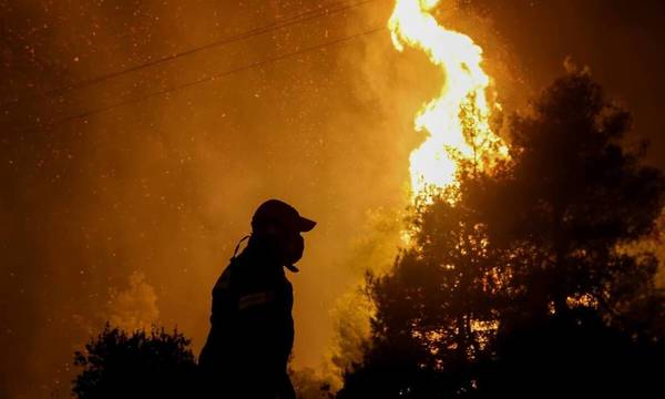 Ζαχάρω: Φωτιά σε δασική έκταση στην Αρήνη