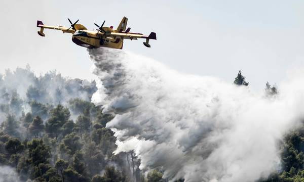 Ελλάδα: 3.119 πυρκαγιές από την αρχή του έτους - «Πρωταθλήτρια» η Πελοπόννησος