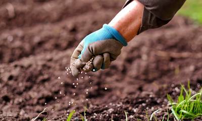 Πώς βελτιώνουμε το χώμα, προετοιμασία εδάφους για καλλιέργεια (video)