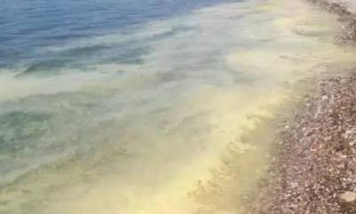 Πάτρα: Κιτρίνισε η θάλασσα στις παραλίες της πόλης -  Πού οφείλεται το φαινόμενο