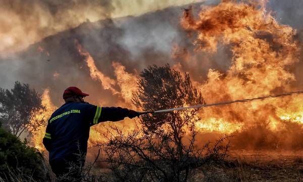 Μεσσήνη: Πυρκαγιά σε δασική έκταση στο Καφού Πεταλιδίου