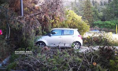 Ναύπλιο: Δέντρο καταπλάκωσε ΙΧ αυτοκίνητο στην πλατεία Αρβανιτιάς (photos)