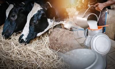 «Πάρτε μέτρα τώρα, για τους Έλληνες κτηνοτρόφους και παραγωγούς γάλατος!»