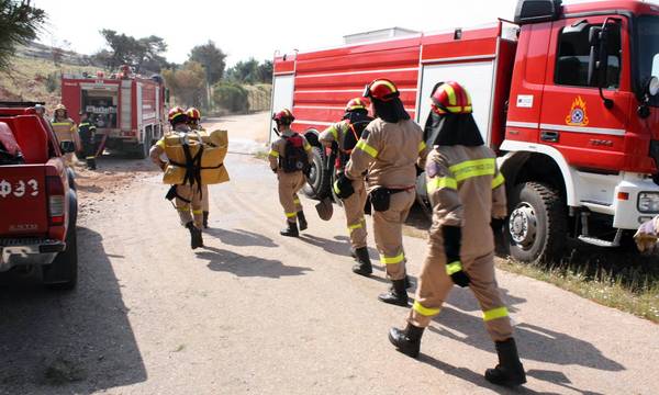 Προσλήψεις εποχικών πυροσβεστών στον Δήμο Ανατολικής Μάνης