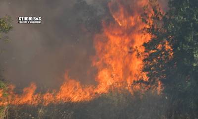 Ναύπλιο: Φωτιά στην περιοχή της Πουλακίδας (photos - video)