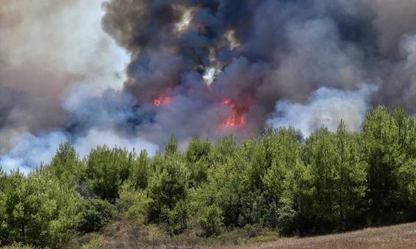 Αρκαδία: Σε ύφεση η φωτιά σε δασική έκταση στην Ορεινή Μελιγού (photos -video)