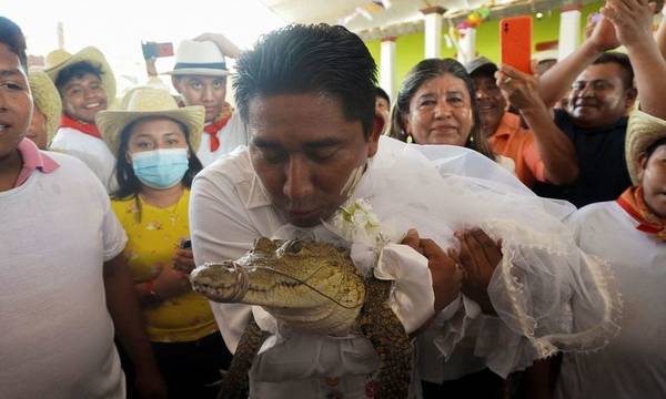 Μεξικό: Δήμαρχος παντρεύεται... αλιγάτορα για να εξασφαλίσει αφθονία! (video)