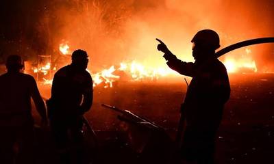 Φωτιά στην Ηλεία: Ολονύχτια μάχη με τις φλόγες - Απειλεί τρεις κοινότητες του δήμου Ήλιδας