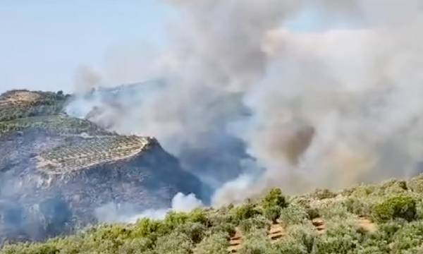 Πύργος: Νέα αναζωπύρωση στην Κορυφή – Πλησιάζει το χωριό η φωτιά (video)