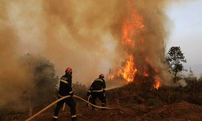 Φωτιά σε αγροτοδασική έκταση στην Γορτυνία