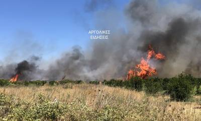 Φωτιά σε εξέλιξη στο Άργος (photos)