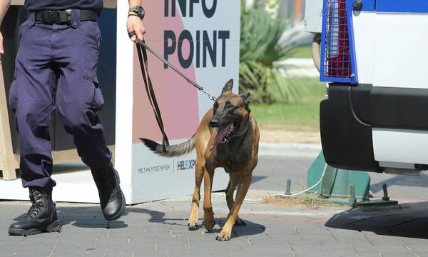 Λακωνία: Είχε …  μύτη! 25 φιξάκια ηρωίνης ξετρύπωσε ο αστυνομικός σκύλος!