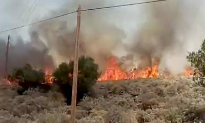 Συναγερμός στη Σκάλα Λακωνίας – Πυρκαγιά πολύ κοντά στην πόλη – Άνεμοι 7 μποφόρ (video)
