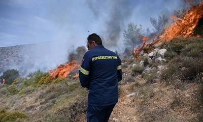 Πυρκαγιά στη Μάνη: Αισιοδοξία στα Διμαρίστικα!