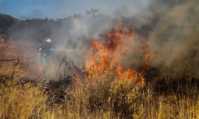 Κορινθία: Φωτιά σε εξέλιξη στην περιοχή Κατακάλι
