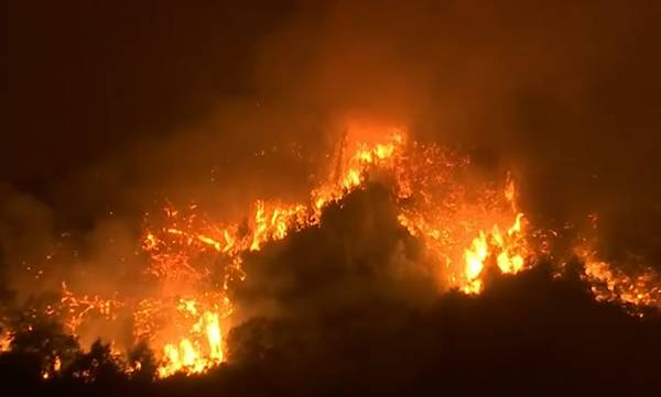 Δύσκολη νύχτα στα Κρέστενα: Ανεξέλεγκτη η φωτιά - «Και οι 3 πυρκαγιές είναι εγκληματική ενέργεια»