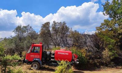 Δυνάμεις από παντού και εθελοντές έσβησαν την επικίνδυνη φωτιά κοντά στο δάσος της Βασιλικής