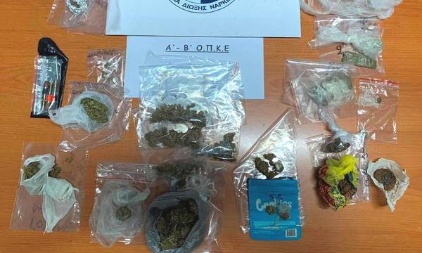 Μεσσηνία: 18 συλλήψεις για ναρκωτικά σε ελεύθερο κάμπινγκ σε παραθαλάσσιο αλσύλλιο στην Τριφυλία